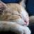 Profilbild von Fred